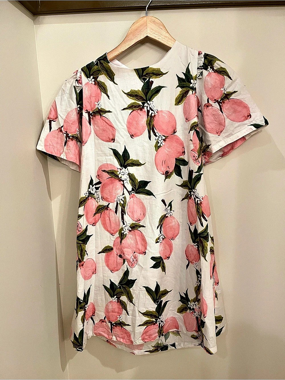 Loveriche Floral Mini Dress in White & Pink Size Large